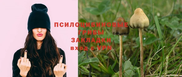 дмт Алексин