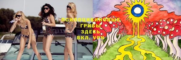 дмт Алексин