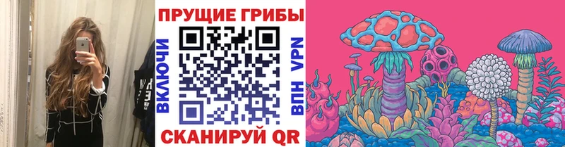 Галлюциногенные грибы прущие грибы  MEGA онион  Волгоград 